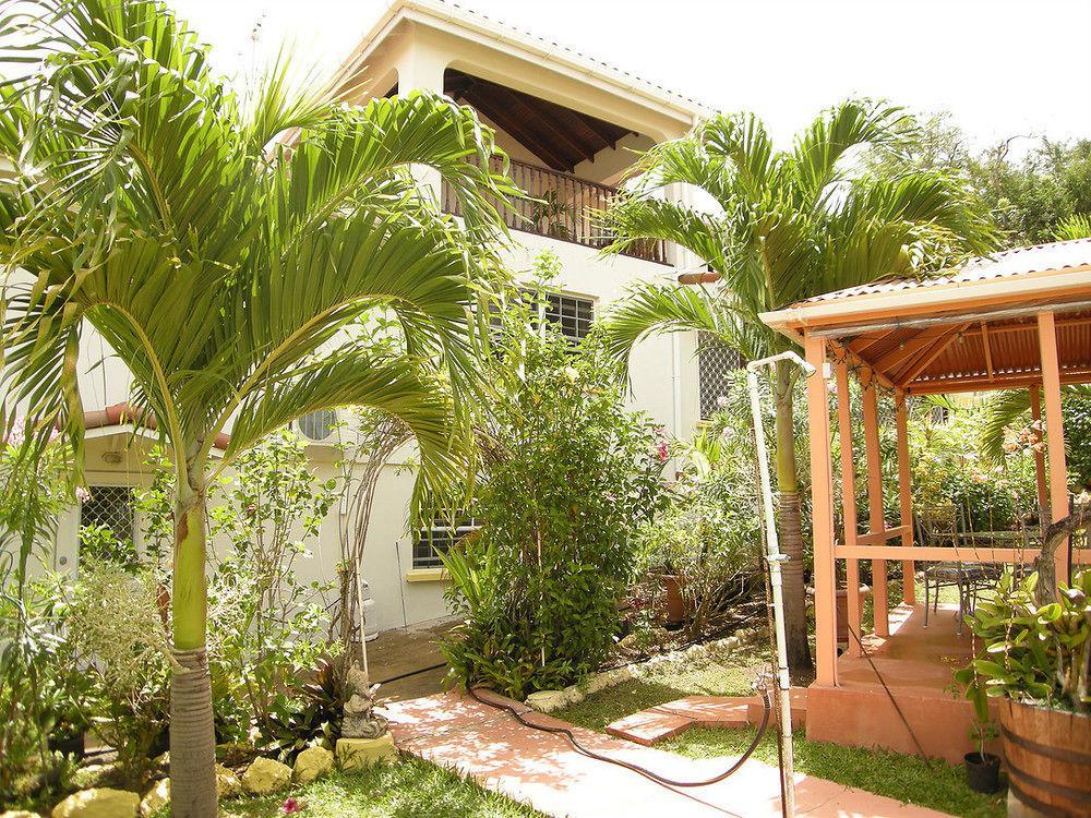 Palm Paradise Guest House And Apartments BARBADOS Dış mekan fotoğraf